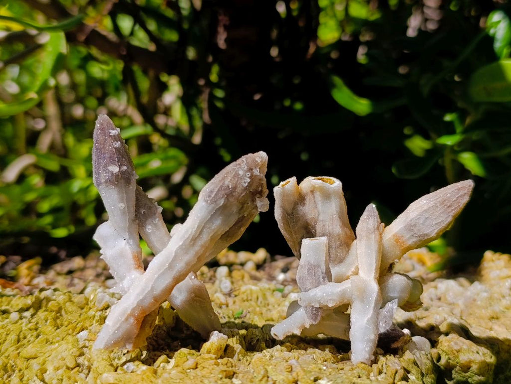 Natural Drusy Quartz Coated Black Tipped Calcite Pseudomorph Specimens x 12 From Albert's Mountain, Lesotho