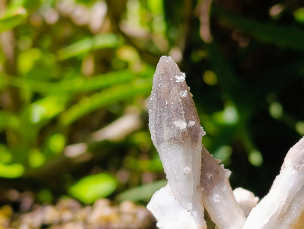 Natural Drusy Quartz Coated Black Tipped Calcite Pseudomorph Specimens x 12 From Albert's Mountain, Lesotho