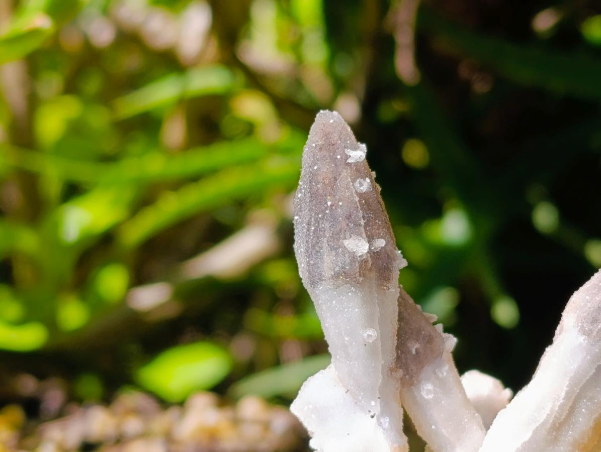 Natural Drusy Quartz Coated Black Tipped Calcite Pseudomorph Specimens x 12 From Albert's Mountain, Lesotho
