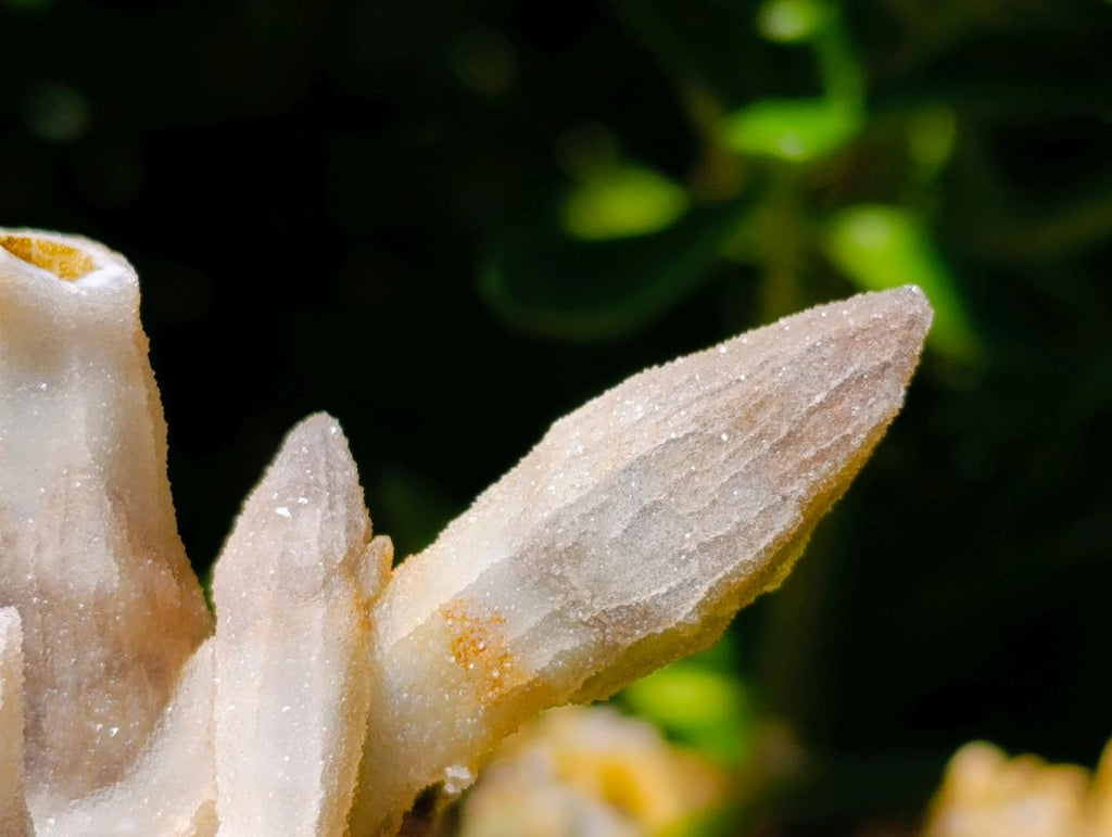 Natural Drusy Quartz Coated Black Tipped Calcite Pseudomorph Specimens x 12 From Albert's Mountain, Lesotho