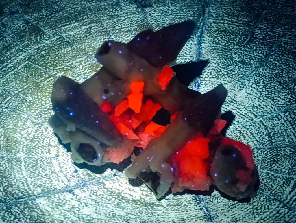 Natural Drusy Quartz Coated Black Tipped Calcite Pseudomorph Specimens x 12 From Albert's Mountain, Lesotho