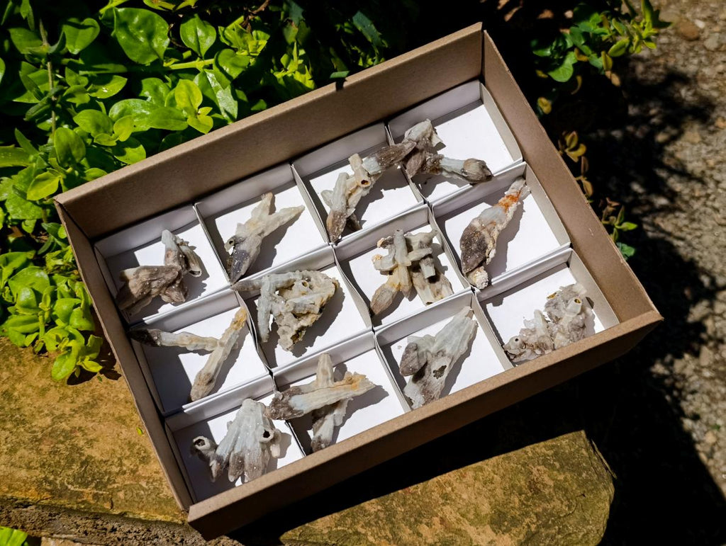 Natural Drusy Quartz Coated Black Tipped Calcite Pseudomorph Specimens x 12 From Albert's Mountain, Lesotho