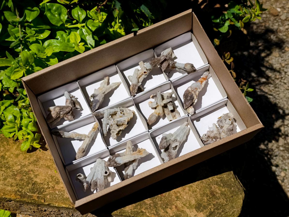 Natural Drusy Quartz Coated Black Tipped Calcite Pseudomorph Specimens x 12 From Albert's Mountain, Lesotho