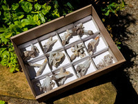 Natural Drusy Quartz Coated Black Tipped Calcite Pseudomorph Specimens x 12 From Albert's Mountain, Lesotho