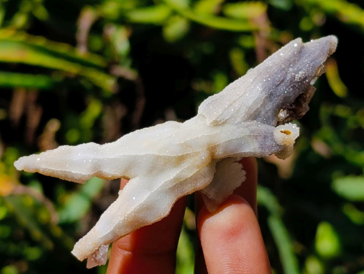 Natural Drusy Quartz Coated Black Tipped Calcite Pseudomorph Specimens x 12 From Albert's Mountain, Lesotho