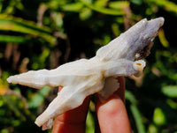 Natural Drusy Quartz Coated Black Tipped Calcite Pseudomorph Specimens x 12 From Albert's Mountain, Lesotho