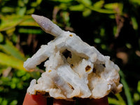 Natural Drusy Quartz Coated Black Tipped Calcite Pseudomorph Specimens x 12 From Albert's Mountain, Lesotho