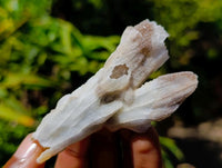 Natural Drusy Quartz Coated Black Tipped Calcite Pseudomorph Specimens x 12 From Albert's Mountain, Lesotho