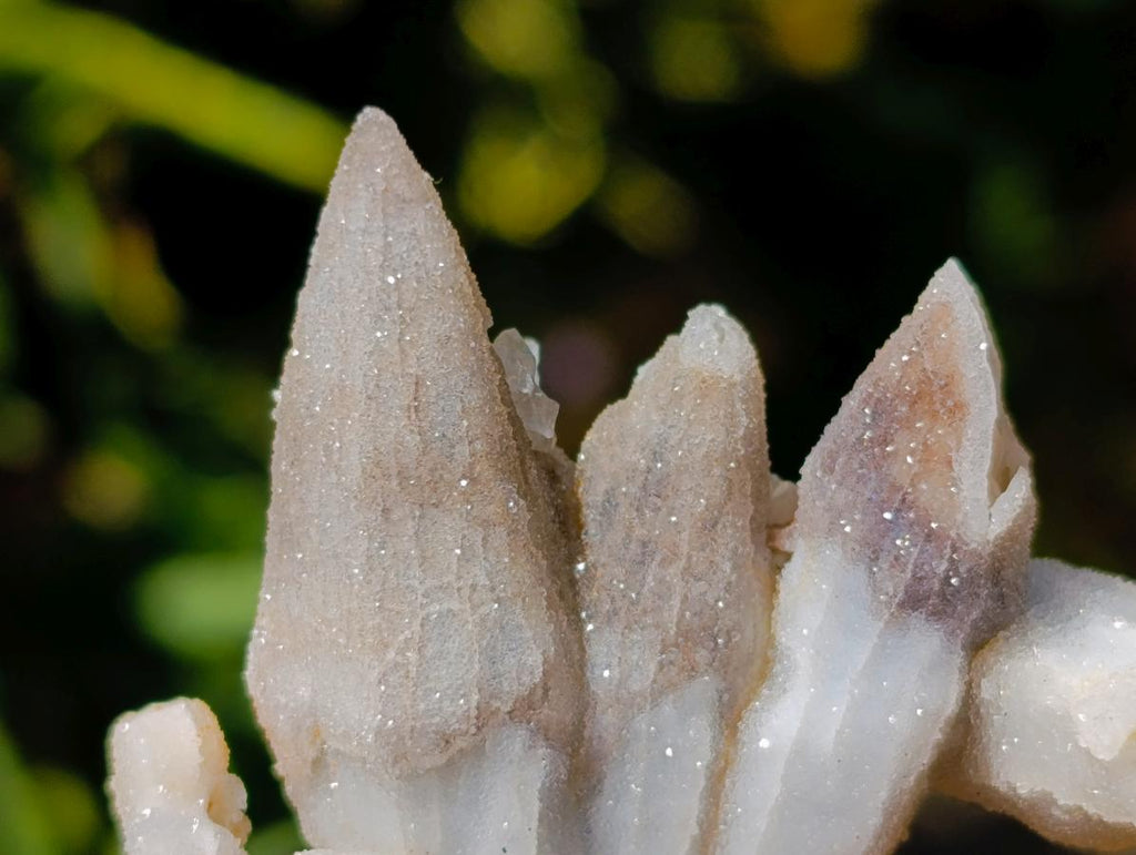 Natural Drusy Quartz Coated Black Tipped Calcite Pseudomorph Specimens x 12 From Albert's Mountain, Lesotho