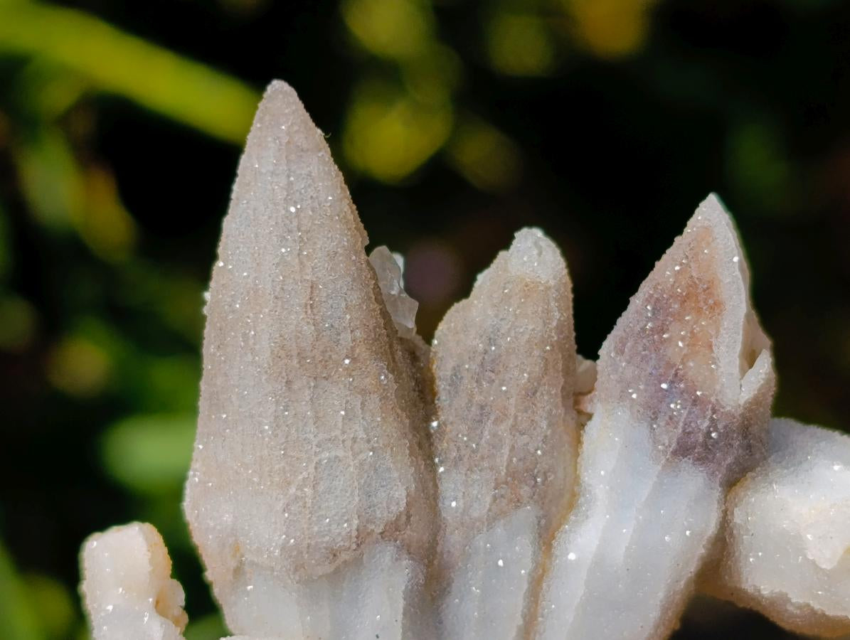 Natural Drusy Quartz Coated Black Tipped Calcite Pseudomorph Specimens x 12 From Albert's Mountain, Lesotho