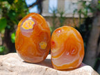 Polished Carnelian Agate Gemstone Standing Free Forms x 12 From Madagascar - Toprock Gemstones and Minerals 