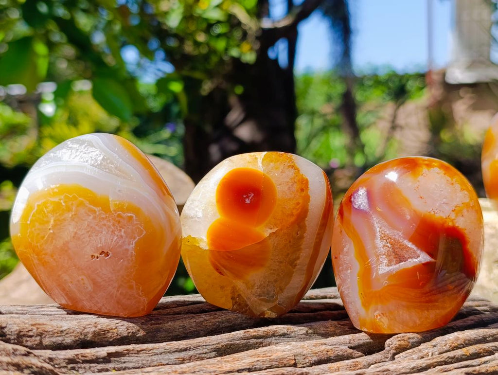 Polished Carnelian Agate Gemstone Standing Free Forms x 12 From Madagascar - Toprock Gemstones and Minerals 