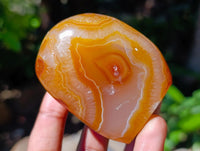 Polished Carnelian Agate Gemstone Standing Free Forms x 12 From Madagascar