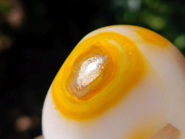 Polished Carnelian Agate Gemstone Standing Free Forms x 12 From Madagascar