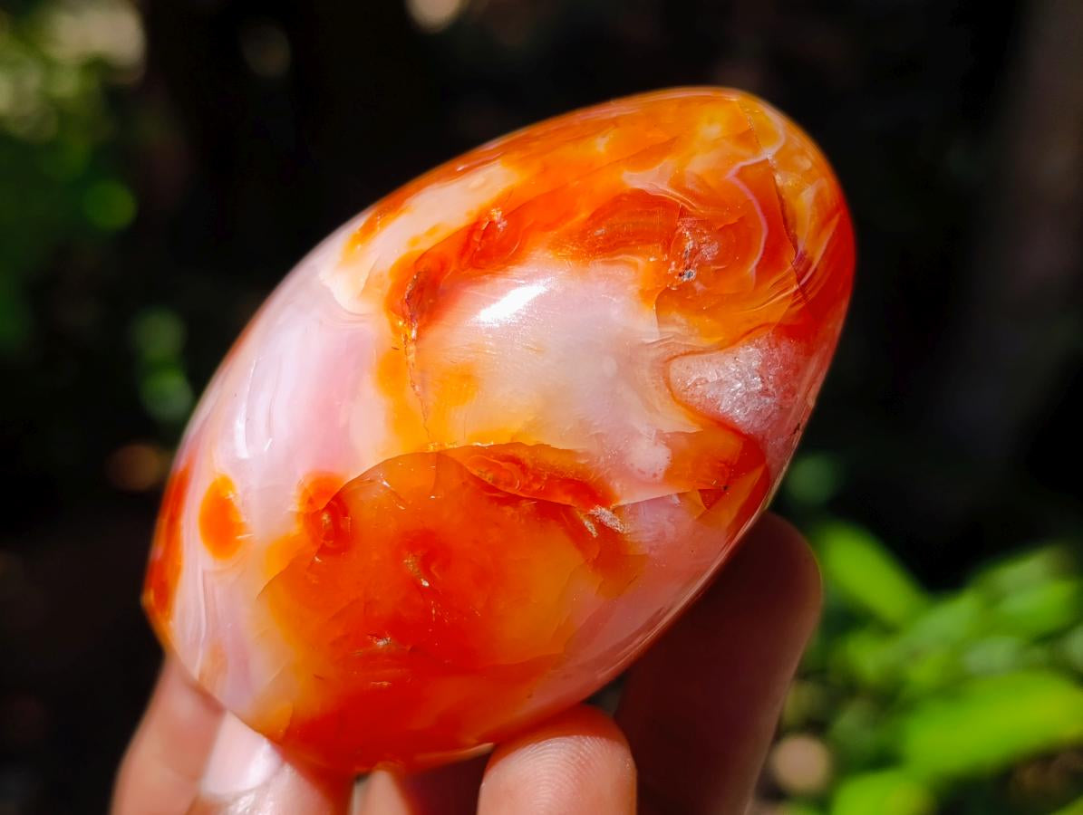 Polished Carnelian Agate Gemstone Standing Free Forms x 12 From Madagascar - Toprock Gemstones and Minerals 