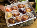 Polished Carnelian Agate Gemstone Standing Free Forms x 12 From Madagascar - Toprock Gemstones and Minerals 