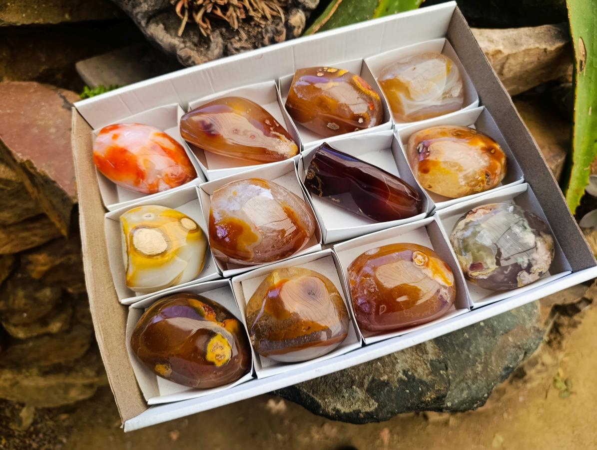 Polished Carnelian Agate Gemstone Standing Free Forms x 12 From Madagascar - Toprock Gemstones and Minerals 