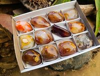 Polished Carnelian Agate Gemstone Standing Free Forms x 12 From Madagascar