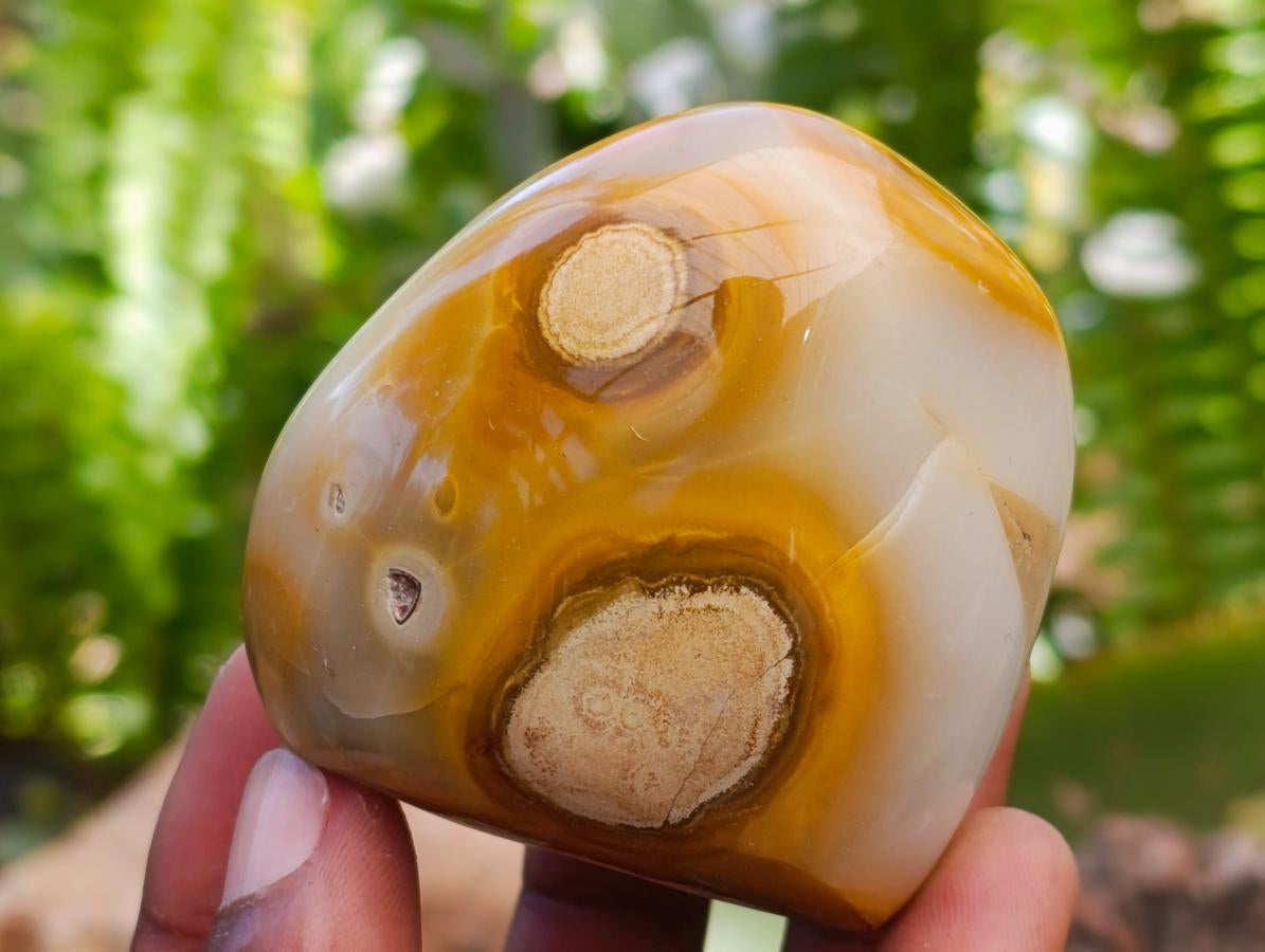 Polished Carnelian Agate Gemstone Standing Free Forms x 12 From Madagascar