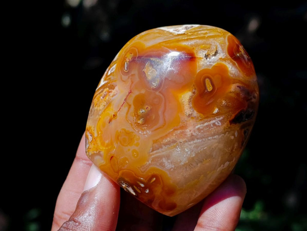 Polished Carnelian Agate Gemstone Standing Free Forms x 12 From Madagascar - Toprock Gemstones and Minerals 
