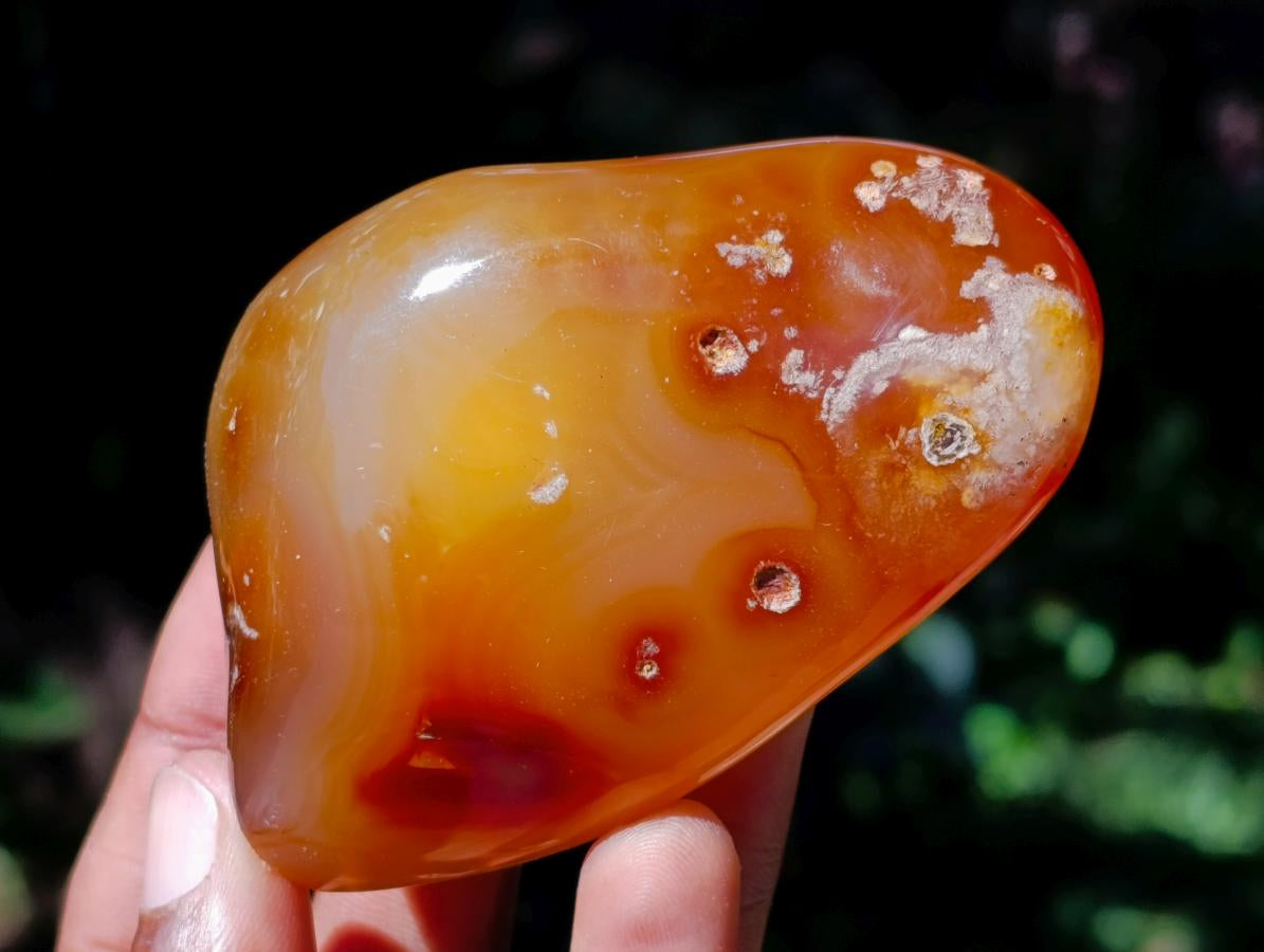 Polished Carnelian Agate Gemstone Standing Free Forms x 12 From Madagascar