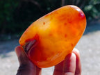 Polished Carnelian Agate Gemstone Standing Free Forms x 12 From Madagascar - Toprock Gemstones and Minerals 