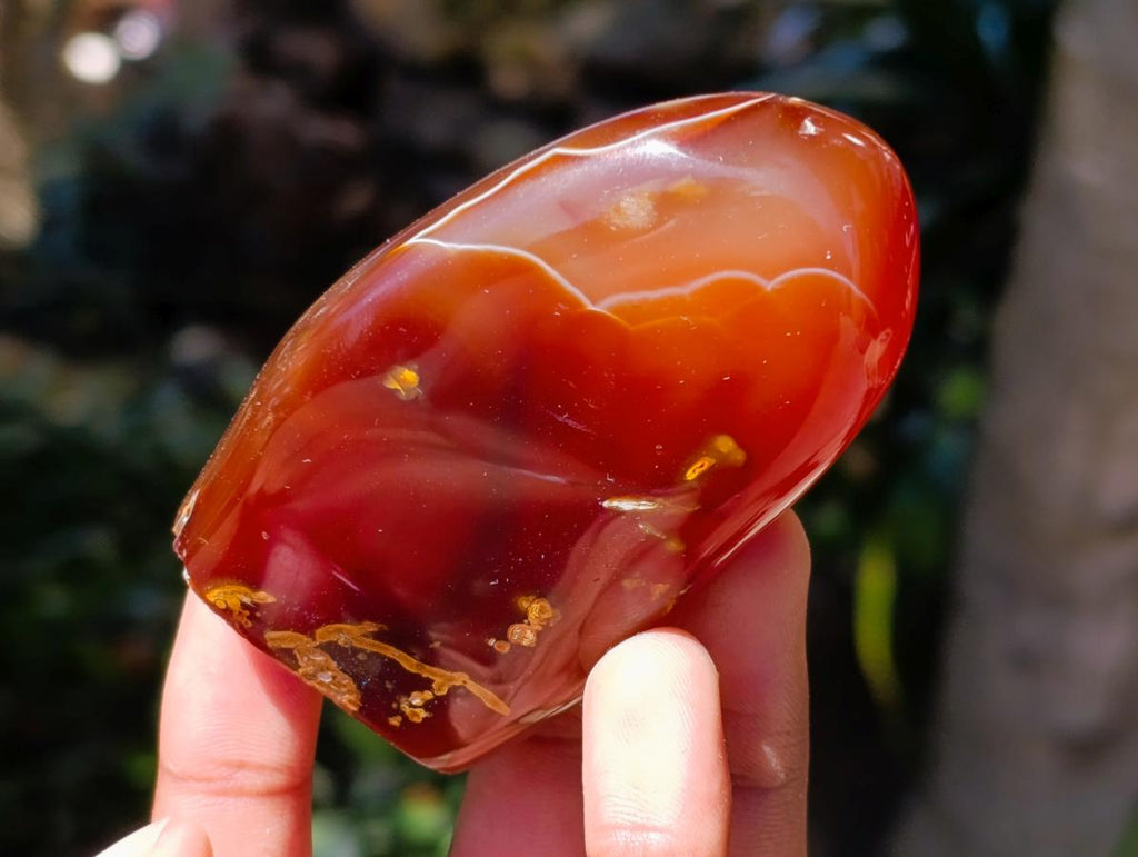 Polished Carnelian Agate Gemstone Standing Free Forms x 12 From Madagascar - Toprock Gemstones and Minerals 
