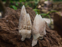 Natural Drusy Quartz Coated Spearhead Calcite Specimens x 35 From Albert's Mountain, Lesotho