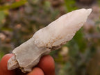 Natural Drusy Quartz Coated Spearhead Calcite Specimens x 35 From Albert's Mountain, Lesotho