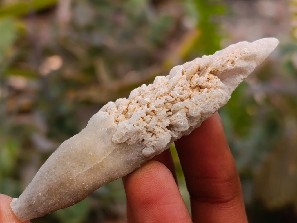 Natural Drusy Quartz Coated Spearhead Calcite Specimens x 35 From Albert's Mountain, Lesotho