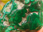 Polished Flower Banded Malachite Free Forms x 4 From Congo