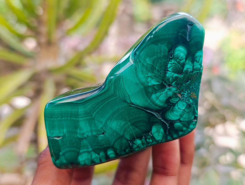 Polished Flower Banded Malachite Free Forms x 4 From Congo