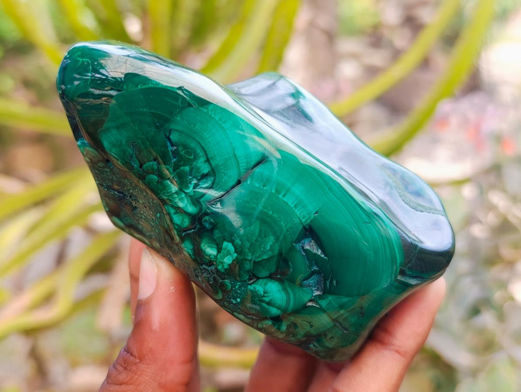 Polished Flower Banded Malachite Free Forms x 4 From Congo