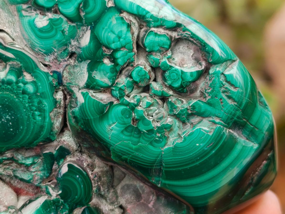 Polished Flower Banded Malachite Free Forms x 4 From Congo