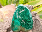 Polished Flower Banded Malachite Free Forms x 4 From Congo