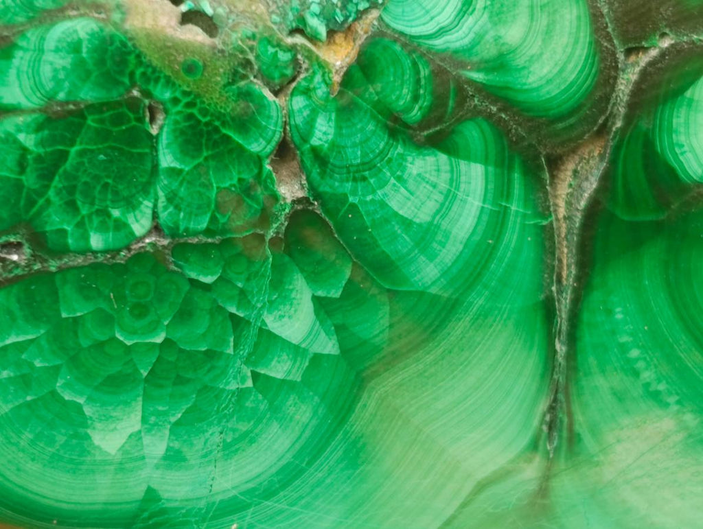 Polished Flower Banded Malachite Free Forms x 4 From Congo