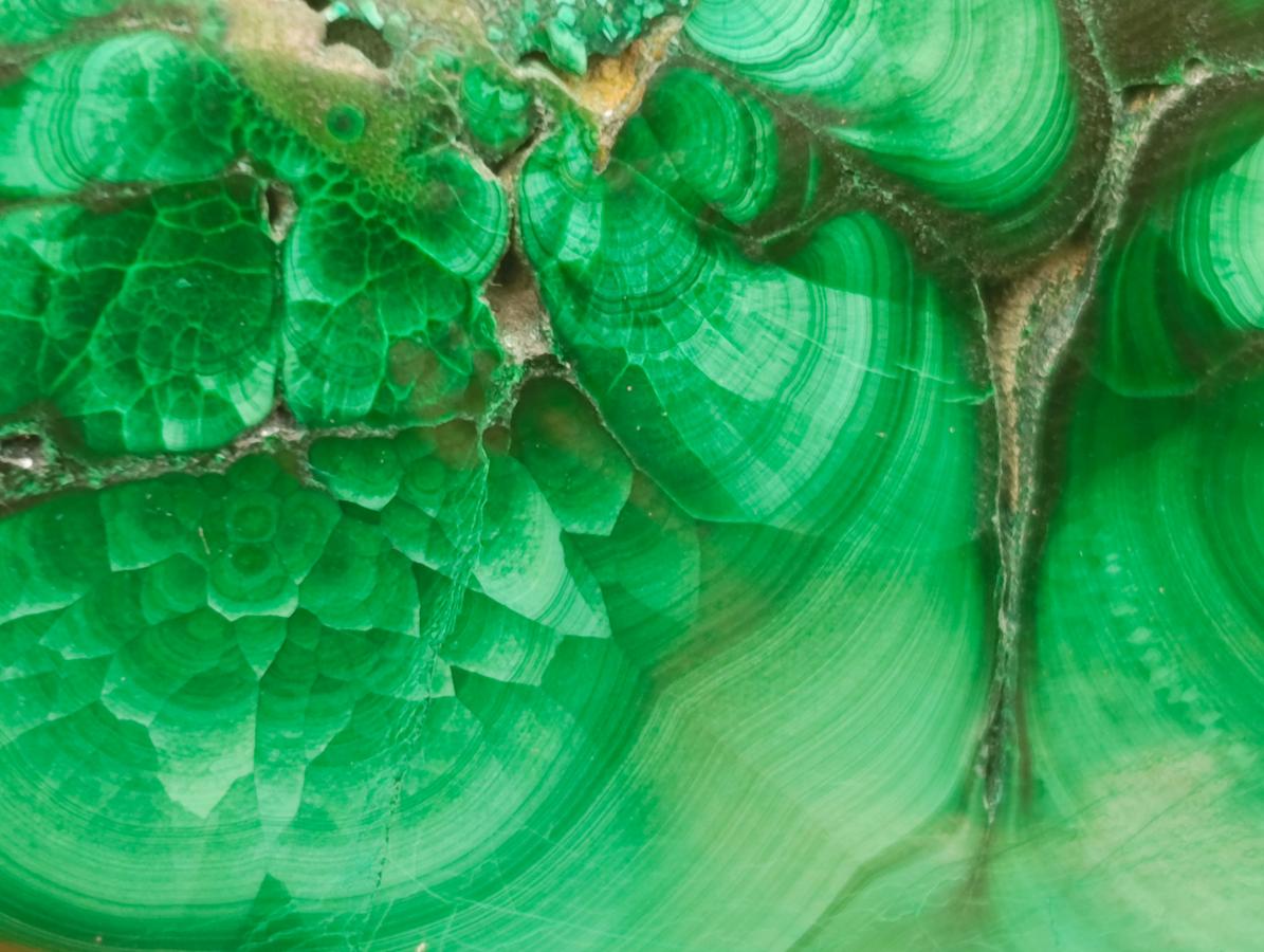 Polished Flower Banded Malachite Free Forms x 4 From Congo