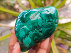 Polished Flower Banded Malachite Free Forms x 4 From Congo