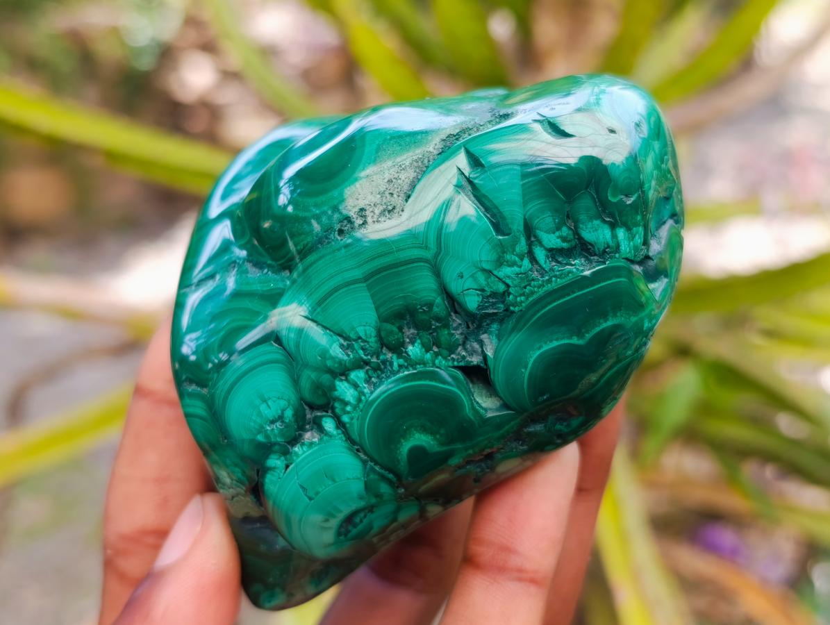 Polished Flower Banded Malachite Free Forms x 4 From Congo