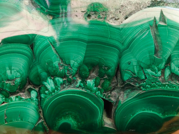 Polished Flower Banded Malachite Free Forms x 4 From Congo