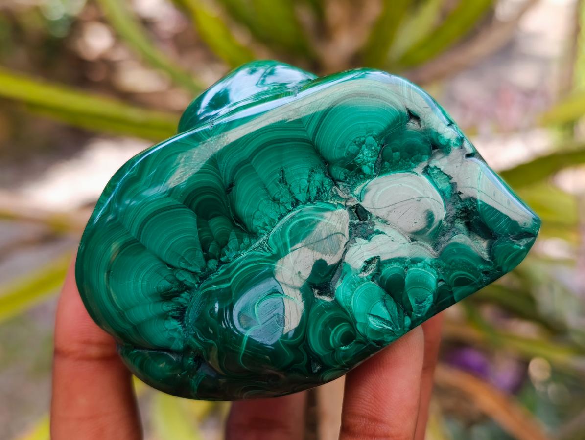 Polished Flower Banded Malachite Free Forms x 4 From Congo
