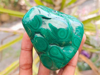 Polished Flower Banded Malachite Free Forms x 4 From Congo