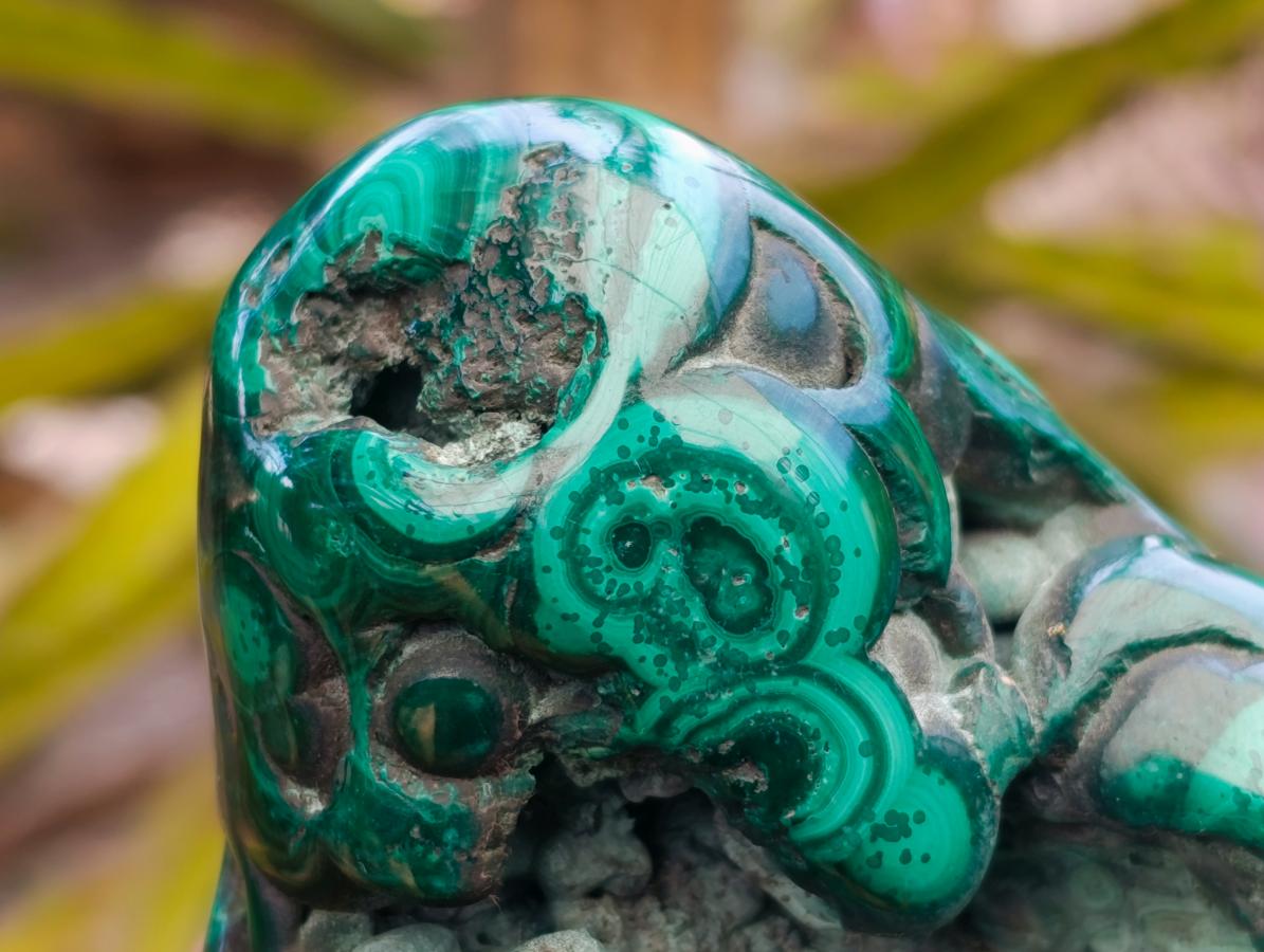 Polished Flower Banded Malachite Free Forms x 4 From Congo