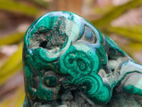 Polished Flower Banded Malachite Free Forms x 4 From Congo