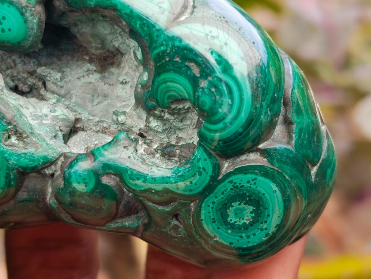 Polished Flower Banded Malachite Free Forms x 4 From Congo