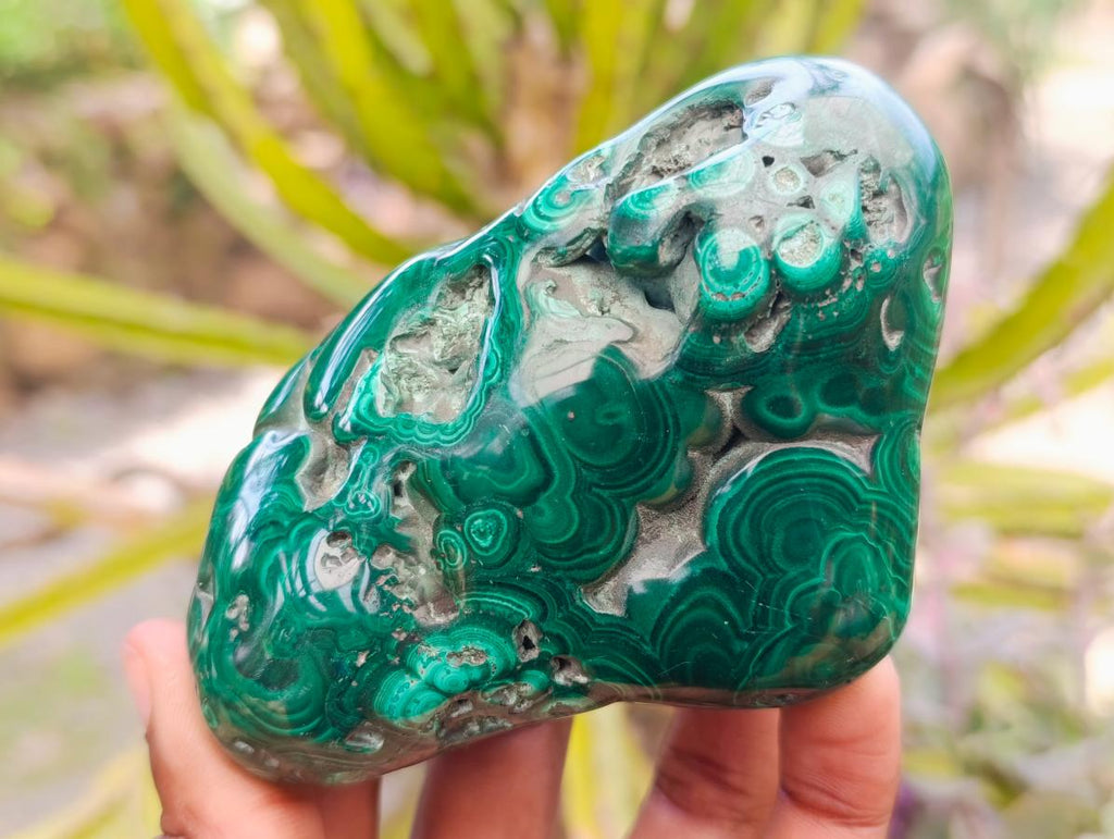 Polished Flower Banded Malachite Free Forms x 4 From Congo