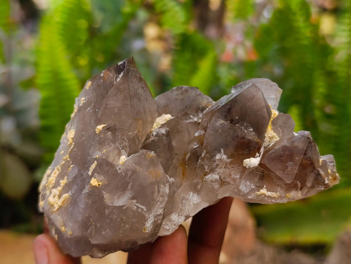 Natural Smokey Quartz And Aegirine Crystals x 6 From Mulanje, Malawi