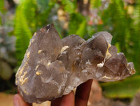 Natural Smokey Quartz And Aegirine Crystals x 6 From Mulanje, Malawi