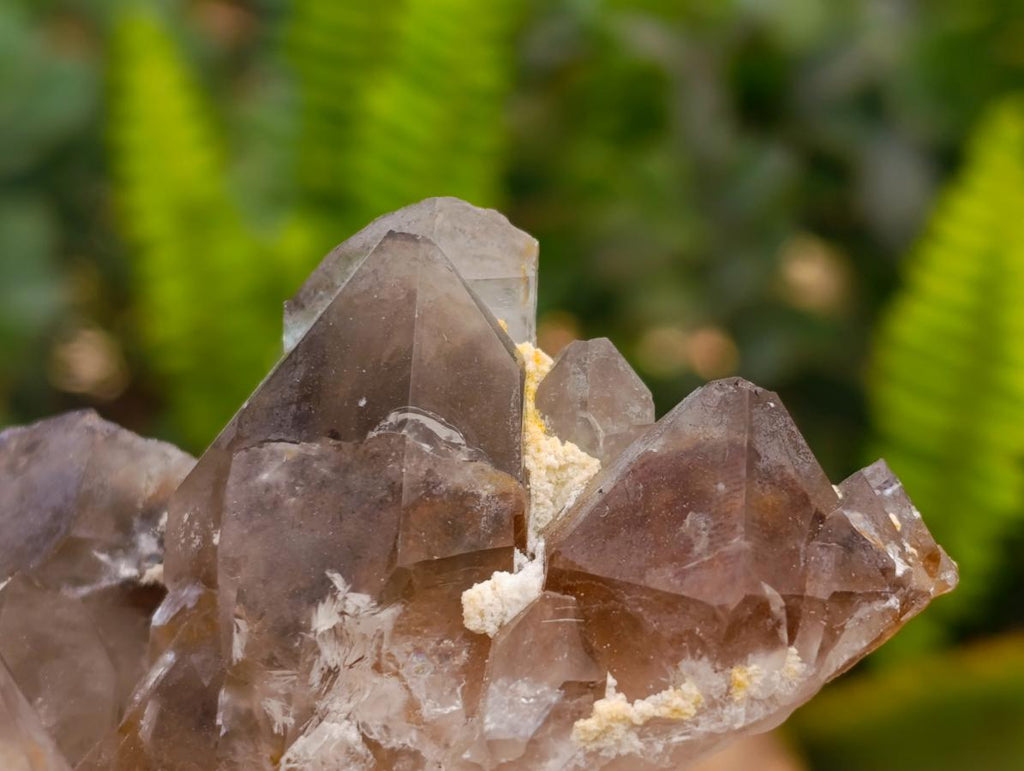 Natural Smokey Quartz And Aegirine Crystals x 6 From Mulanje, Malawi