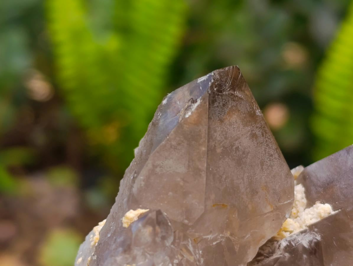 Natural Smokey Quartz And Aegirine Crystals x 6 From Mulanje, Malawi